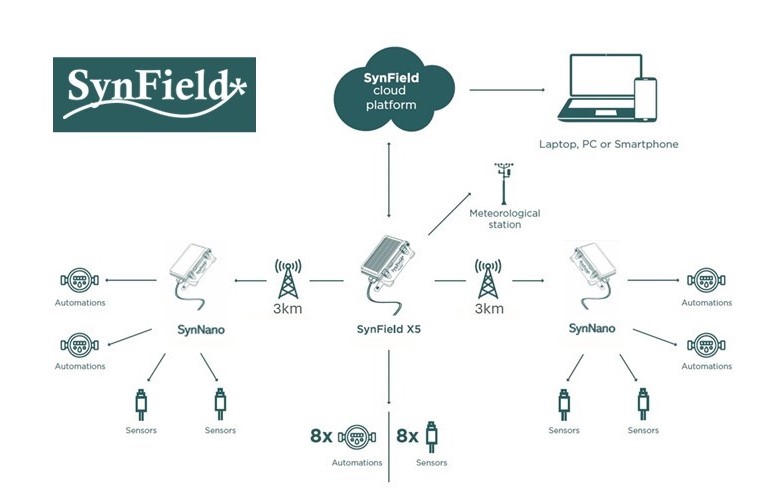 infographic ENG synnano